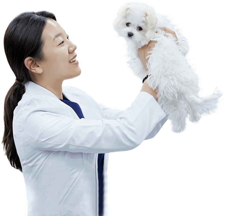 의사와 강아지
