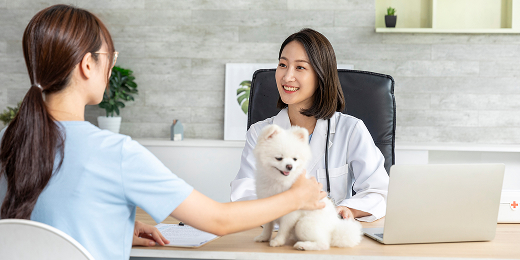 SKY 진료순서 - 03 맞춤 치료 계획 수립