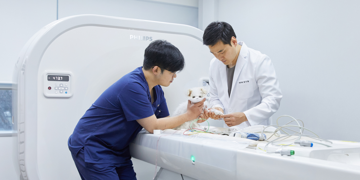 대학병원급 정밀 진단 시스템