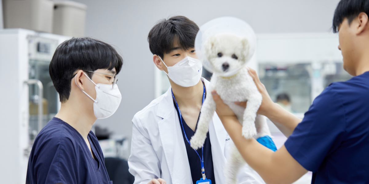 협진으로 연결되는 진료 시스템